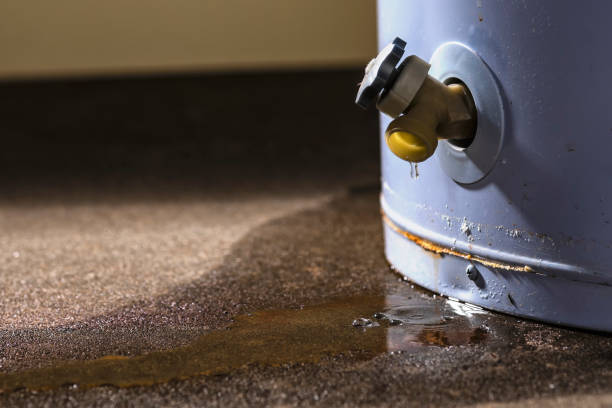 Best Flooded house restoration  in Westmorland, CA
