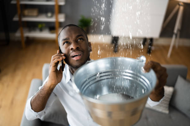Best Water damage restoration cost  in Westmorland, CA