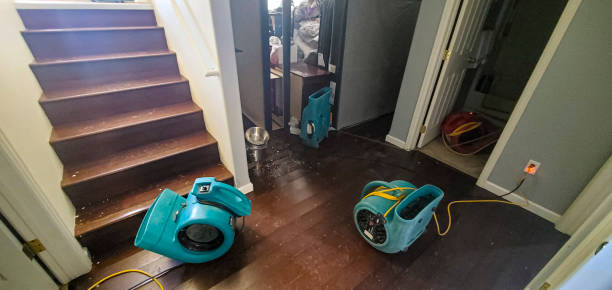 Best Water damage cleanup near me  in Westmorland, CA