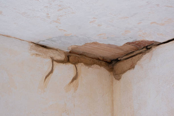 Best Residential water damage restoration  in Westmorland, CA