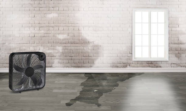 Fire Damage Restoration in Westmorland, CA