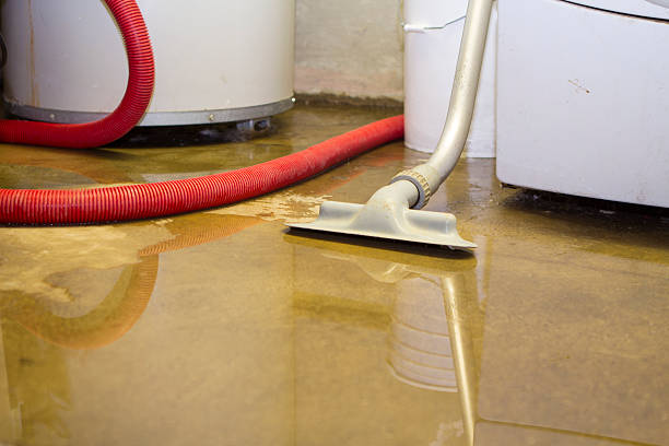 Best Sewage cleanup and water damage restoration  in Westmorland, CA