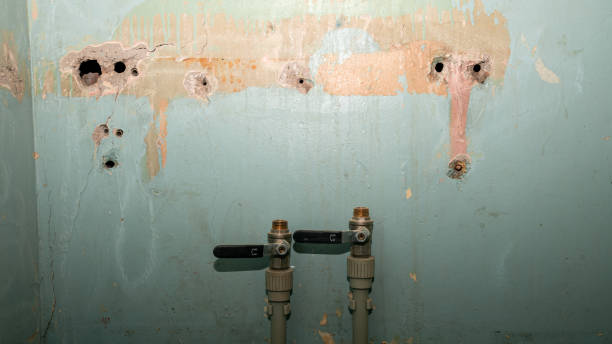 Sewage cleanup and water damage restoration in Westmorland, CA