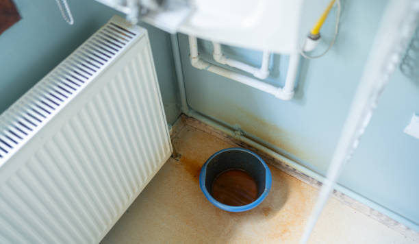 Best Flood damage cleanup  in Westmorland, CA