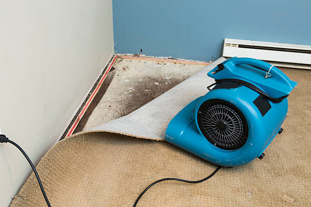 Best Water damage restoration services  in Westmorland, CA